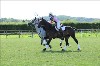 UKPA NC SAT_2216